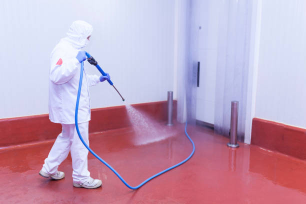  Kaysville, UT Pressure Washing Pros